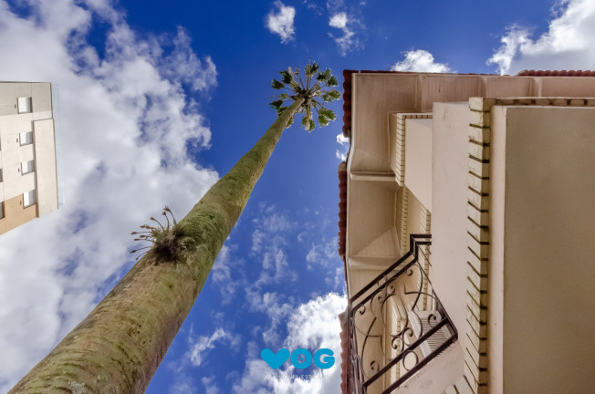 Imagem Casa com 3 Quartos à Venda, 377 m² em Higienópolis - Porto Alegre