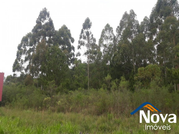 Imagem Imóvel à Venda, 10.211 m² em Linha Araripe - Nova Petrópolis Imagem Imóvel à Venda, 10.211 m² em Linha Araripe - Nova Petrópolis