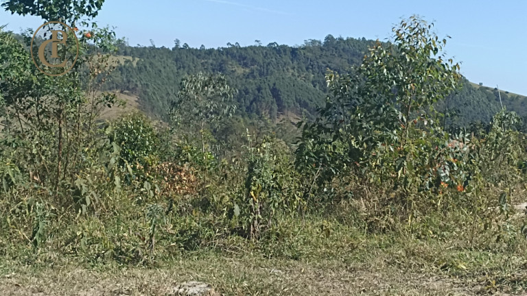 Imagem Fazenda à Venda, 300 m² em Centro - Salesópolis Imagem Fazenda à Venda, 300 m² em Centro - Salesópolis