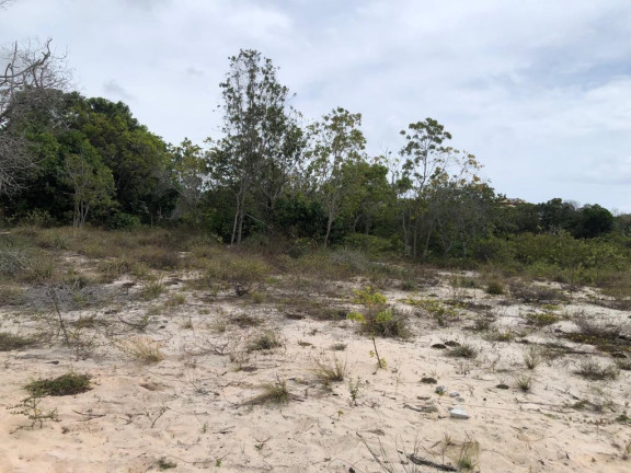 Imagem Terreno à Venda, 700 m² em Praia Do Forte - Mata De São João