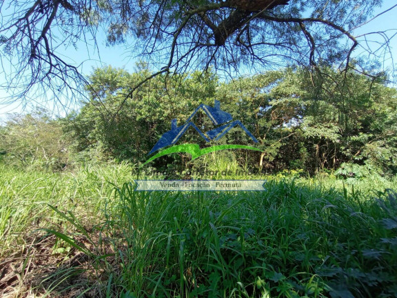 Terreno à Venda, 175 m² em Nova Cerejeira - Atibaia