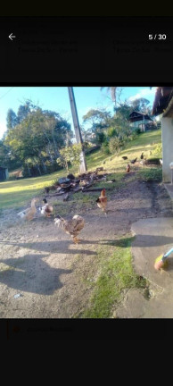 Imagem Imóvel à Venda, 42.500 m² em Matulao - Tijucas Do Sul Imagem Imóvel à Venda, 42.500 m² em Matulao - Tijucas Do Sul