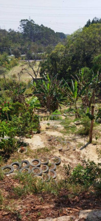 Imagem Casa com 4 Quartos à Venda, 1 m² em Parque Das Rosas - Cotia Imagem Casa com 4 Quartos à Venda, 1 m² em Parque Das Rosas - Cotia