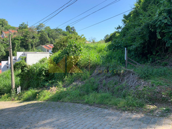 Imagem Imóvel à Venda, 450 m² em Escola Agrícola - Blumenau