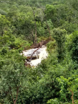 Imagem Fazenda à Venda, 164 m² em Monjolos área Rural - Monjolos