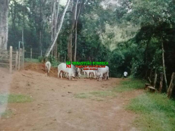 Imagem Chácara com 4 Quartos à Venda, 3 m² em São Francisco Xavier - São José Dos Campos Imagem Chácara com 4 Quartos à Venda, 3 m² em São Francisco Xavier - São José Dos Campos