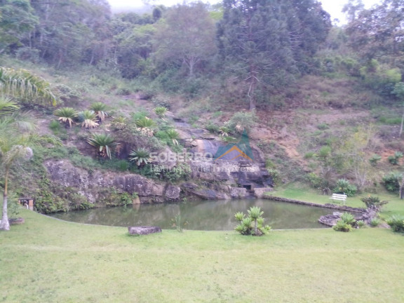 Imagem Imóvel com 4 Quartos à Venda, 123.000 m² em Córrego Das Pedras - Teresópolis Imagem Imóvel com 4 Quartos à Venda, 123.000 m² em Córrego Das Pedras - Teresópolis