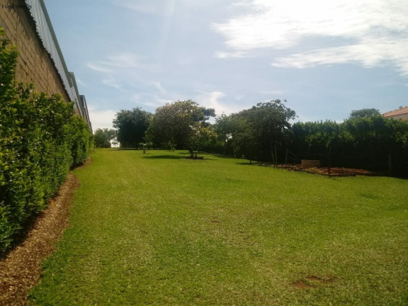 Imagem Imóvel com 4 Quartos à Venda, em Zona Rural - Rifaina Imagem Imóvel com 4 Quartos à Venda, em Zona Rural - Rifaina