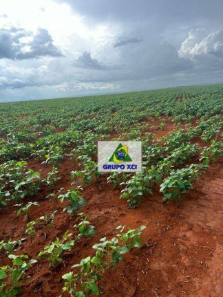 Imagem Fazenda à Venda, 3.388.000 m² em Zona Rural - Ponte Alta Do Tocantins Imagem Fazenda à Venda, 3.388.000 m² em Zona Rural - Ponte Alta Do Tocantins