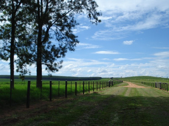 Imagem Imóvel à Venda, 2.042 m² em área Rural De Marília - Marília Imagem Imóvel à Venda, 2.042 m² em área Rural De Marília - Marília