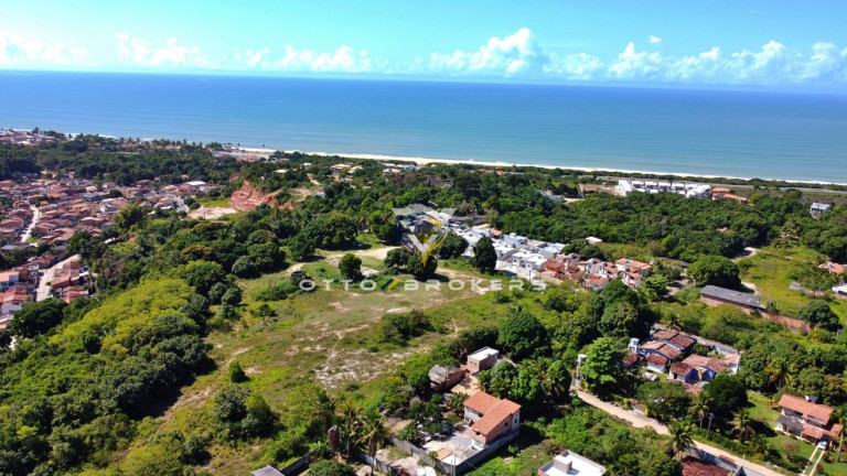 Imagem Terreno à Venda, 65.057 m² em Santa Cruz Cabrália - Santa Cruz Cabrália