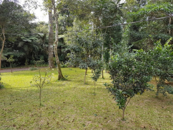 Imagem Chácara com 3 Quartos à Venda, 8.000 m² em Zona Rural - Cascavel