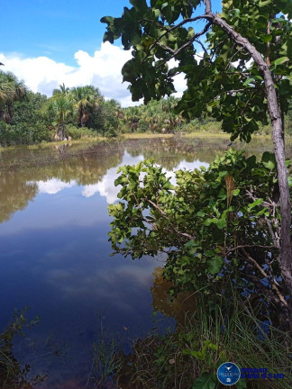 Imagem Fazenda à Venda, 37 m² em Zona Rural - Jussara Imagem Fazenda à Venda, 37 m² em Zona Rural - Jussara