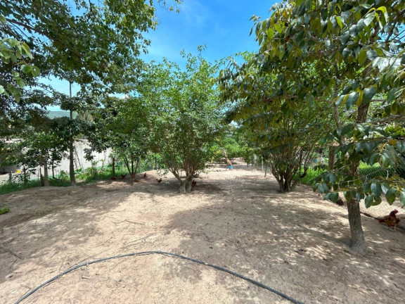 Imagem Chácara com 3 Quartos à Venda, 3.670 m² em Serra Negra - Betim Imagem Chácara com 3 Quartos à Venda, 3.670 m² em Serra Negra - Betim