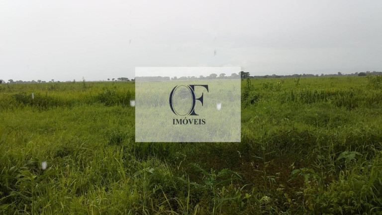Imagem Fazenda à Venda, 24.000 m² em Pantanal - Corumbá