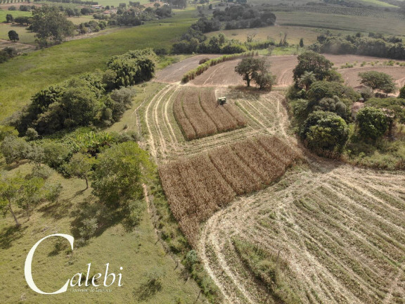 Imagem Chácara com 4 Quartos à Venda, 11 m² em área Rural De Mogi Mirim - Moji Mirim Imagem Chácara com 4 Quartos à Venda, 11 m² em área Rural De Mogi Mirim - Moji Mirim