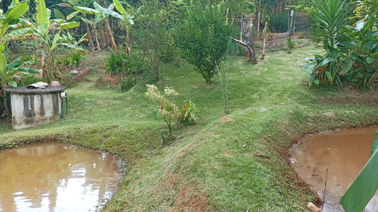Imagem Chácara com 3 Quartos à Venda, 300 m² em Vila São Germano - Paraibuna