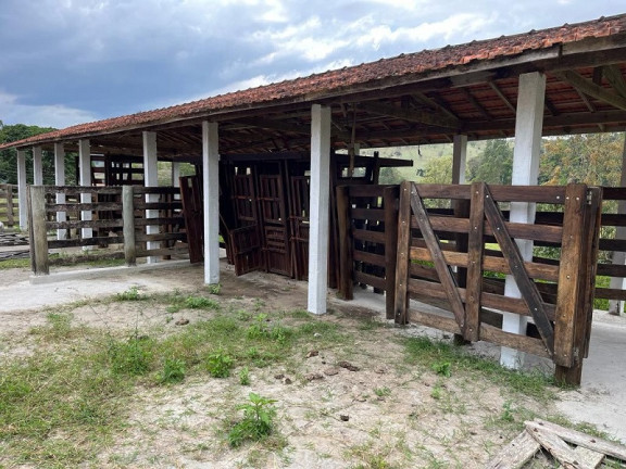 Imagem Imóvel à Venda, em Cunha Imagem Imóvel à Venda, em Cunha