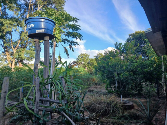 Imagem Chácara à Venda, 35 m² em Arapongas Imagem Chácara à Venda, 35 m² em Arapongas