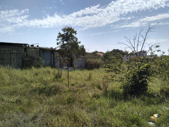 Imagem Terreno para Alugar, 1.400 m² em Vila Amorim - Suzano Imagem Terreno para Alugar, 1.400 m² em Vila Amorim - Suzano