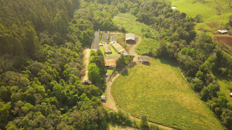 Imagem Imóvel à Venda, 172.000 m² em Rural - Concórdia Imagem Imóvel à Venda, 172.000 m² em Rural - Concórdia