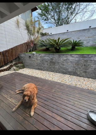 Imagem Casa à Venda, 310 m² em Pedra Branca - Palhoça Imagem Casa à Venda, 310 m² em Pedra Branca - Palhoça