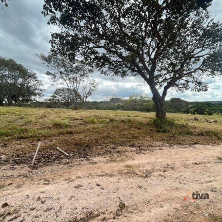 Imagem Imóvel à Venda, 1.000 m² Imagem Imóvel à Venda, 1.000 m²