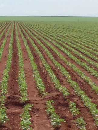 Imagem Fazenda à Venda, 34.060.000 m² em Zona Rural - Novo São Joaquim Imagem Fazenda à Venda, 34.060.000 m² em Zona Rural - Novo São Joaquim