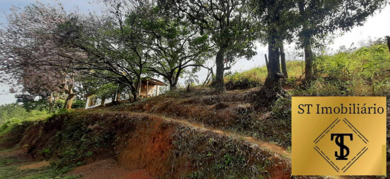 Imagem Chácara com 3 Quartos à Venda, 72.000 m² em Estância Santa Maria Do Portão - Atibaia