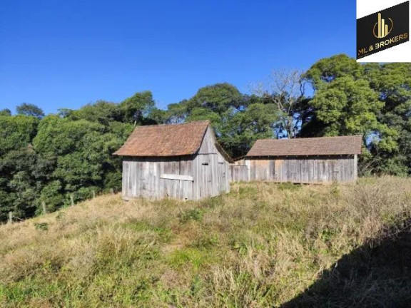 Imagem Imóvel com 2 Quartos à Venda, 20.000 m² em Zona Rural - Balsa Nova Imagem Imóvel com 2 Quartos à Venda, 20.000 m² em Zona Rural - Balsa Nova
