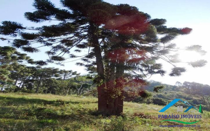 Imagem Terreno em Condomínio à Venda, 1.078 m² em Centro - Gonçalves