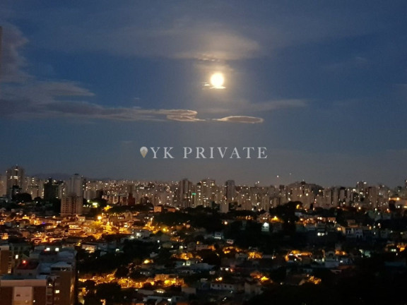 Imagem Apartamento com 3 Quartos à Venda, 76 m² em Vila Ipojuca - São Paulo
