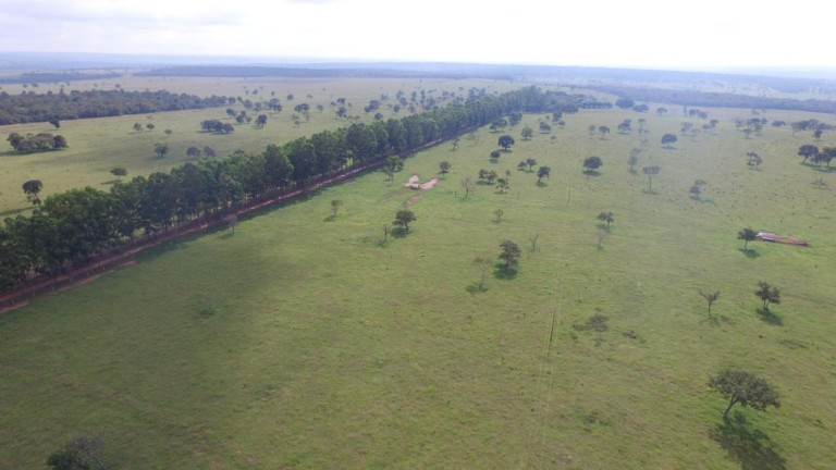 Fazenda à Venda, 3.400 m² em Rural - Campo Grande