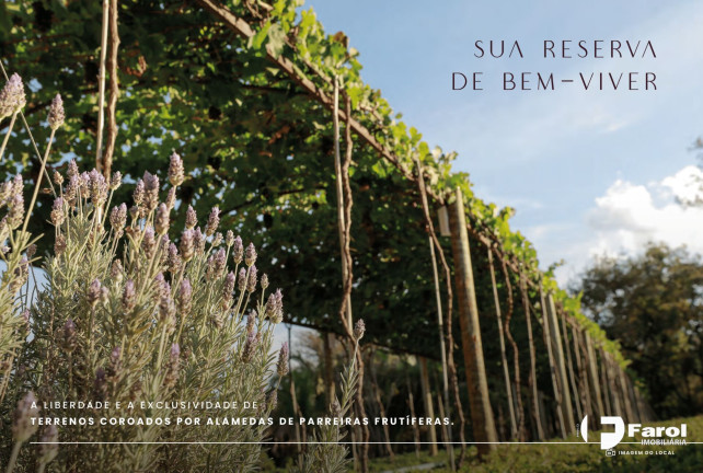 Imagem Terreno à Venda, 533 m² em Residencial Casa Uvva - Bela Vista De Goiás Imagem Terreno à Venda, 533 m² em Residencial Casa Uvva - Bela Vista De Goiás