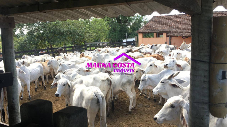 Imagem Fazenda à Venda, 2 m² em Banqueiros - Araruama