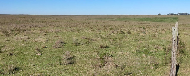 Imagem Imóvel com 2 Quartos à Venda, 1.300 m² em Santana Do Livramento Imagem Imóvel com 2 Quartos à Venda, 1.300 m² em Santana Do Livramento