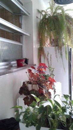 Imagem Apartamento com 3 Quartos à Venda, 150 m² em Pinheiros - São Paulo Imagem Apartamento com 3 Quartos à Venda, 150 m² em Pinheiros - São Paulo