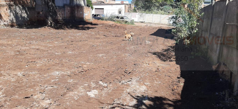 Imagem Terreno à Venda, 450 m² em Vila Suzana - Mateus Leme