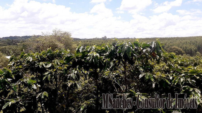 Imagem Chácara com 3 Quartos à Venda, 300 m² em Aparecida - Araçoiaba Da Serra