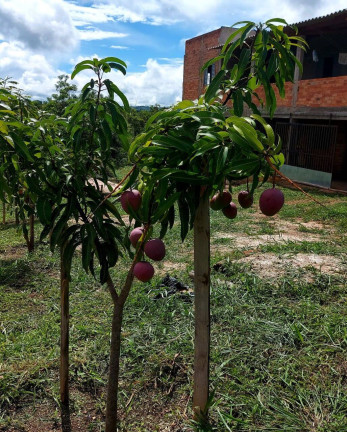 Imagem Chácara com 3 Quartos à Venda, 240 m² em Zona Rural - Goiânia Imagem Chácara com 3 Quartos à Venda, 240 m² em Zona Rural - Goiânia