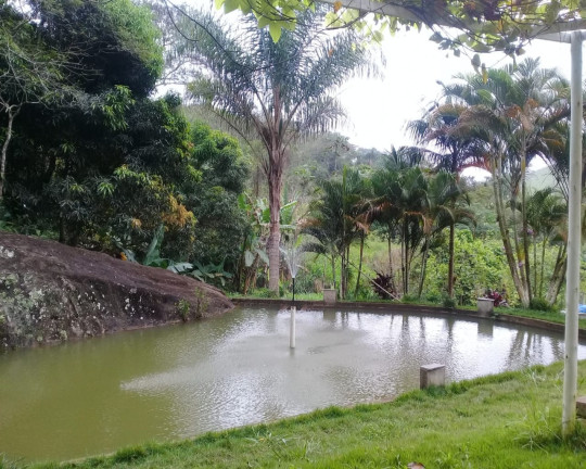 Imóvel com 4 Quartos à Venda, 5.000 m² em Distrito De Juiz De Fora - Monte Verde(juiz De Fora)