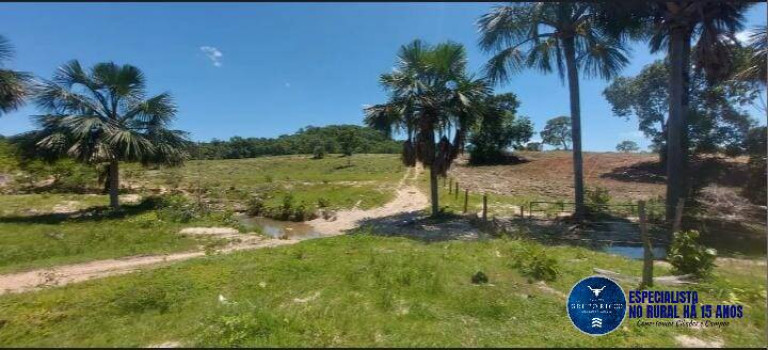 Imagem Fazenda à Venda, 14 m² em Zona Rural - Araguapaz Imagem Fazenda à Venda, 14 m² em Zona Rural - Araguapaz