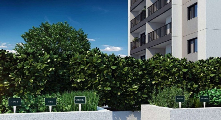 Imagem Apartamento com 2 Quartos à Venda, 35 m² em Jabaquara - São Paulo Imagem Apartamento com 2 Quartos à Venda, 35 m² em Jabaquara - São Paulo