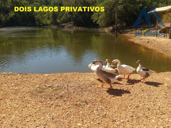Imagem Terreno em Condomínio à Venda, 1.000 m² em Centro - Jequitibá Imagem Terreno em Condomínio à Venda, 1.000 m² em Centro - Jequitibá