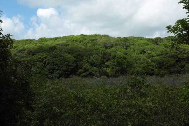 Imagem Terreno à Venda, 19 m² em Barra Do Cunhaú - Canguaretama Imagem Terreno à Venda, 19 m² em Barra Do Cunhaú - Canguaretama