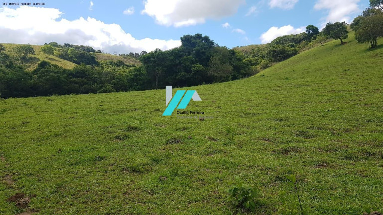 Imagem Fazenda à Venda, 128 m² em Zona Rural - Oliveira Imagem Fazenda à Venda, 128 m² em Zona Rural - Oliveira