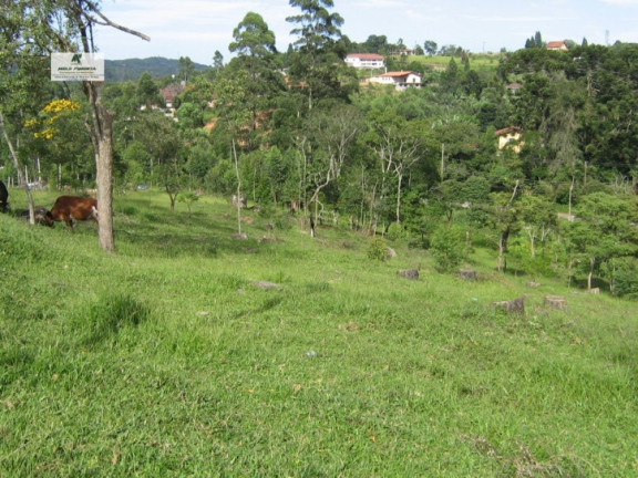 Imagem Chácara à Venda, 11.280 m² em Alto Da Serra - São Roque