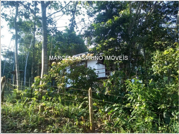 Imagem Imóvel com 3 Quartos à Venda, 1.000 m² em Jeribucaçu - Itacaré Imagem Imóvel com 3 Quartos à Venda, 1.000 m² em Jeribucaçu - Itacaré