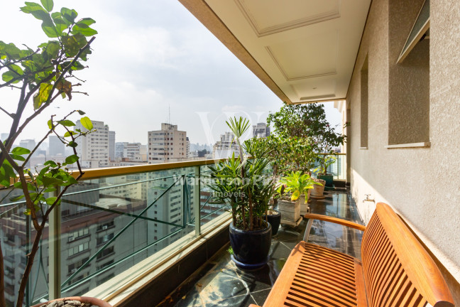 Imagem Apartamento com 4 Quartos à Venda, 450 m² em Jardim Europa - São Paulo Imagem Apartamento com 4 Quartos à Venda, 450 m² em Jardim Europa - São Paulo