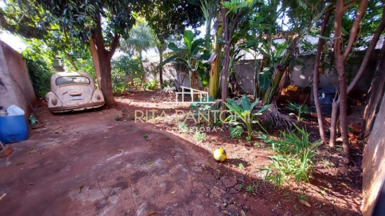 Imagem Terreno à Venda, 250 m² em Jardim Jandaia - Ribeirão Preto Imagem Terreno à Venda, 250 m² em Jardim Jandaia - Ribeirão Preto